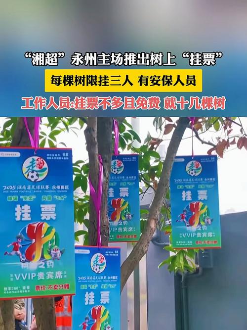湘超联赛推出“挂票”，球迷可坐在树上看球但禁止“自挂东南枝”